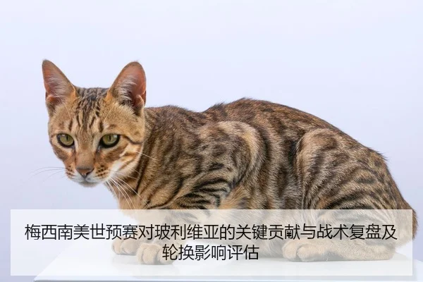 mei-xi-nan-mei-shi-yu-sai-dui-bo-li-wei-ya-de-guan-jian-gong-xian-yu-zhan-shu-fu-pan-ji-lun-huan-ying-xiang-ping-gu-2-399.jpg